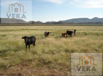 Terreno / Lote · 353000000ha · Rancho Ganadero en Jimenez 35,300ha