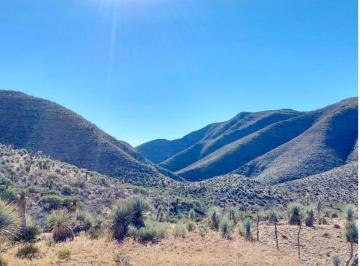 Terreno / Lote · 40200000m² · Rancho Ganadero en Jimenez 4020ha