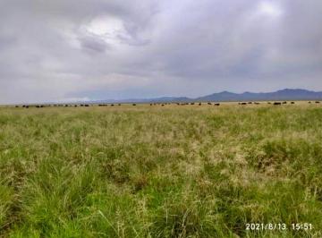 Terreno / Lote · 1000000m² · Rancho Ganadero en Ahumada 100has Pastal
