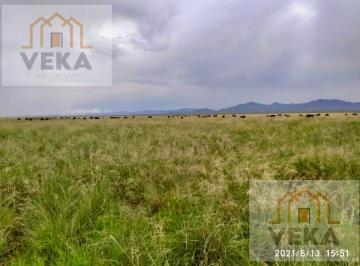 Terreno / Lote · 1000000ha · Rancho Ganadero en Ahumada 100has Pastal