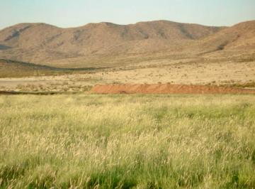 Bodega comercial · 6600000m² · Rancho en Venta (660 Has Ejidales) en Ahumada, Chih