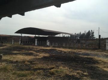 Terreno comercial · 15000m² · Renta de Terreno en Corredor Industrial Salamanca - Celaya Todo o en Partes. - (4)