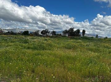 Terreno / Lote , Tijuana · Se Vende Terreno de 5,000 m² en Riberas del Alamar, Tijuana