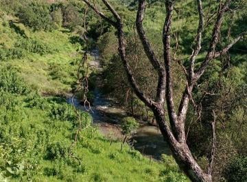 Rancho , Zapopan · Rancho con Producción de Árboles Frutales