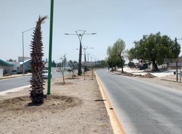 Terreno / Lote · 365m² · Terreno Comercial en Renta Boulevard G. Bonfil, Pachuca, Hidalgo