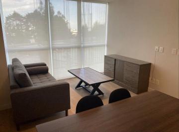 Departamento de 1 habitación, Cuajimalpa de Morelos · Stampa Contadero Renta Departamento Amueblado 71 m² 1 Recamara Amenidades