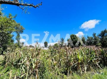 Terreno / Lote · 1582m² · Terreno en Venta en Ixtapan de La Sal - (4)