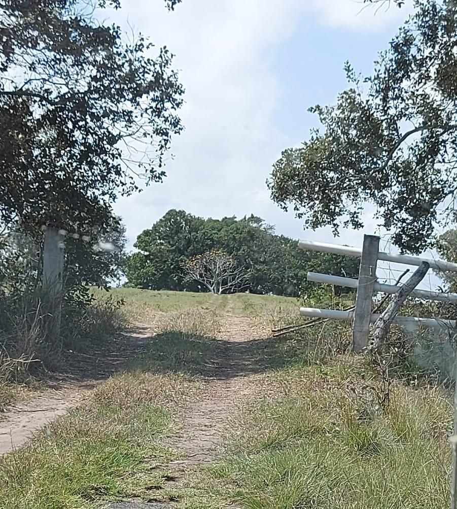 Ranch for Sale, Tampico–Tuxpan Highway KM. 160, near Tampico Alto, Ver.