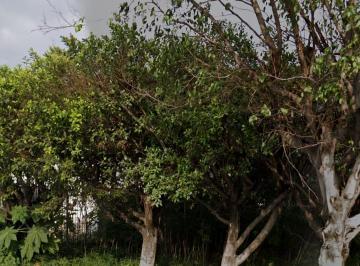 Terreno / Lote de 1 habitación, Cuernavaca · D Terreno en Venta Sobre Av Principal en Cuernavaca Morelos