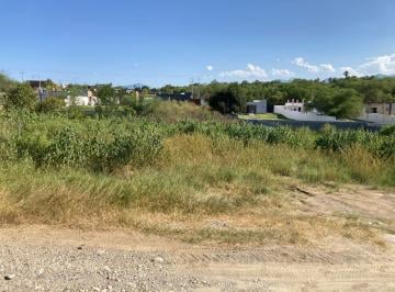 Terreno / Lote · 1000m² · Terreno en Venta en Montemorelos