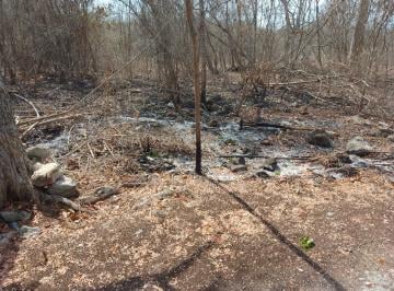 Terreno / Lote , Tulum · Terreno en Venta Carretera Tulum