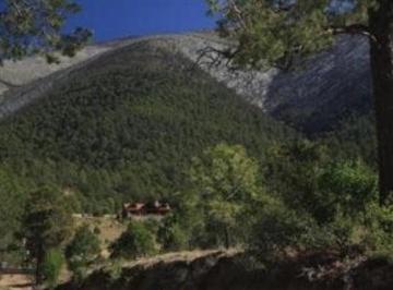 Terreno / Lote · 5236m² · Terreno - Arteaga