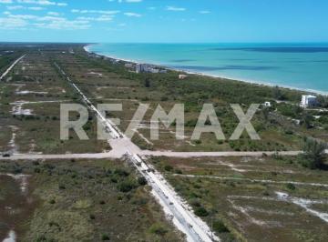 Terreno / Lote · 200m² · Venta de Lotes de Playa en Sisal, Yucatán - (4)