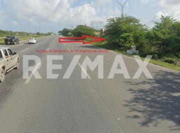 Terreno / Lote · 150000m² · Terreno en Venta, 15 Ha Acceso Desde Carretera a Progreso, San Ignacio, Yucatán. - (4)