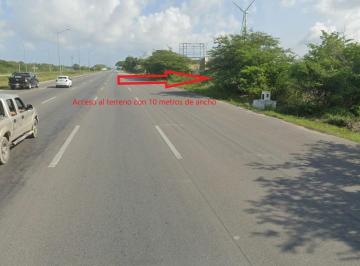 Terreno / Lote · 150000m² · Terreno en Venta, 15 Ha Acceso Desde Carretera a Progreso, San Ignacio, Yucatán. - (4)