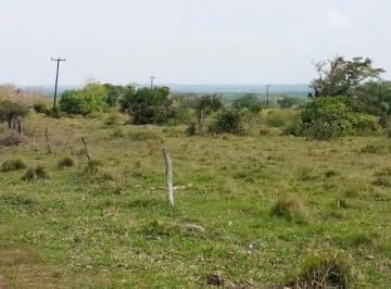 Rancho , Cotaxtla · En Venta 2 Ha Mata Espino, Orilla de Carretera