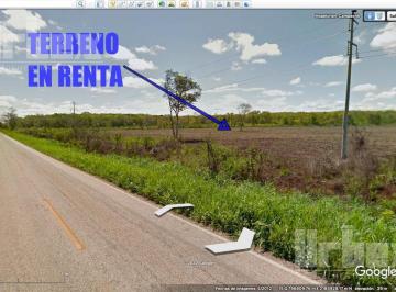 Terreno / Lote · 43088m² · Rento Terreno en Cayal, Campeche