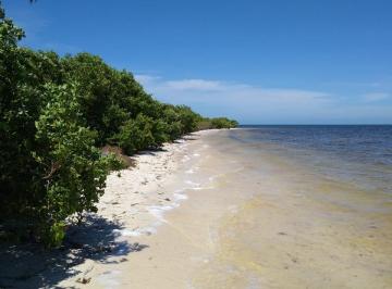Terreno / Lote , Cancún · Terreno de 2500 Hectáreas en Venta en Punta Sam