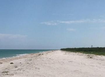 Terreno / Lote · 5516m² · Terreno Frente Al Mar en Venta Merida, Celestun (Avt - 1253)