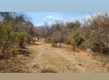 Terreno / Lote , Tetecala · Terreno $60,000,000