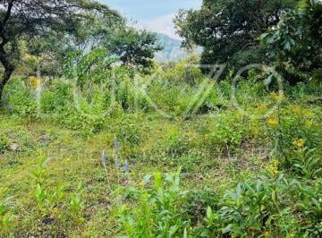 Terreno / Lote , Tepoztlán · Terreno en Venta en Tepoztlan