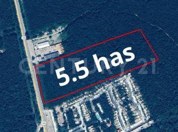Terreno / Lote · 55000m² · Terreno en Venta en Tulum, Quintana Roo
