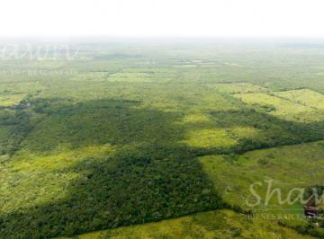 Terreno / Lote · 1000000m² · Terreno de 100 Hectáreas en Venta con Cenotes y Cuevas en Temozón, Yucatán