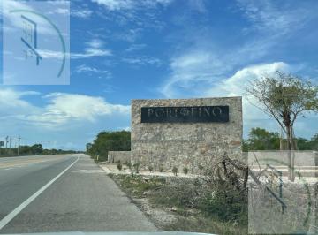 Terreno / Lote · 250m² · Terreno - Pueblo Chicxulub Puerto