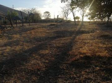 Terreno / Lote · 3000m² · Terreno Campestre en Venta en Aguapepito Sinaloa