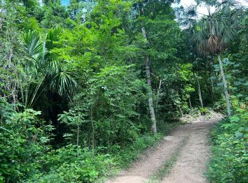 Terreno / Lote , Bacalar · Venta de Lotes en Bacalar