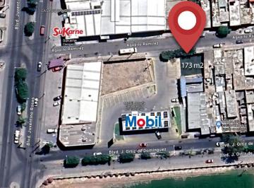 Terreno / Lote · 173m² · Terreno en Renta Gasolinera Blvd. Josefa Ortíz de Dominguez San Francisco del Rincón