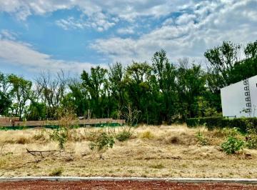 Terreno / Lote , Atlixco · Terreno en Venta en El Carmen Atlixco, Puebla Camino a Nexatengo