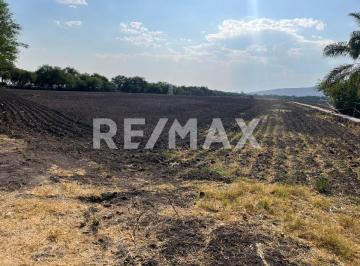 Terreno / Lote · 15000m² · Terreno en Venta - (4)