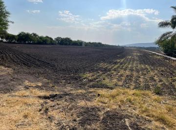 Terreno / Lote · 15000m² · Terreno en Venta - (4)