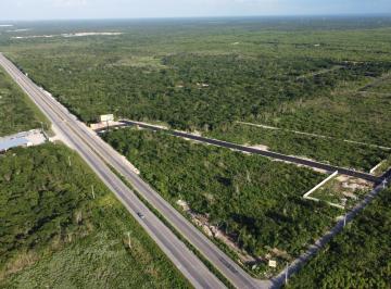 Terreno / Lote , Conkal · En Venta Lote Industrial 1,500 m² en Carretera Mérida - Motul