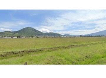 Terreno / Lote · 48937m² · Terreno - San Martín