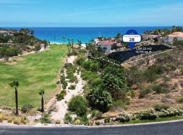 Terreno / Lote · 1281m² · Palmilla Norte 28, San Jose Corridor, Mls #24 - 2121 - (4)