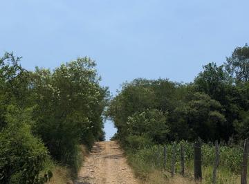 Terreno / Lote · 60000m² · Terreno en Venta en Montemorelos