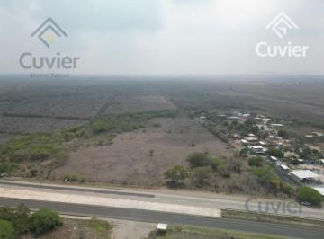 Terreno / Lote · 250000ha · Terreno en Ejido Benito Juárez (Ejido)