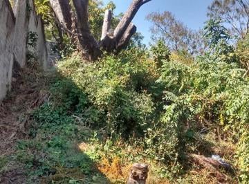 Terreno / Lote , Jiutepec · Terreno - Jiutepec