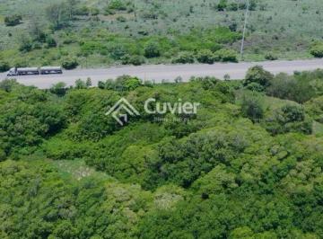 Terreno / Lote · 270000m² · Terreno en Altamira