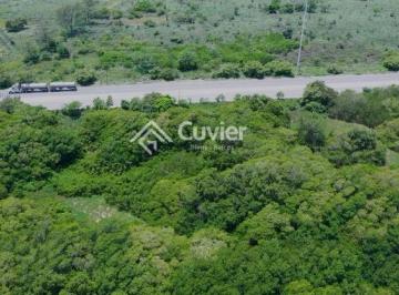 Terreno / Lote · 270000ha · Terreno en Altamira