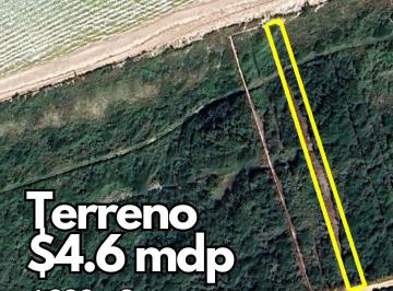 Terreno / Lote · 1330m² · Terreno en Venta Frente Al Mar con 10 m de Playa en Paraíso Sisal Yucatán - (4)
