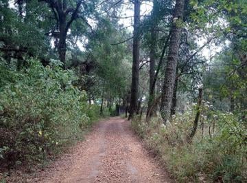 Terreno / Lote · 3500m² · Terreno en Fraccionamiento Guayacahuala
