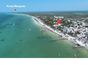 Terreno / Lote , Lázaro Cárdenas · Terreno en Venta con Frente de Playa en Centro de Holbox, Quintana Roo