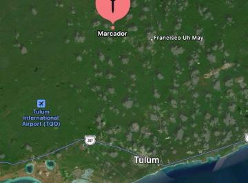 Terreno / Lote · 200000m² · En Venta 20 Hectáreas en Uh May