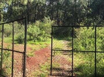 Terreno / Lote · 310000m² · Terreno en Venta Epenche Grande Mazamitla