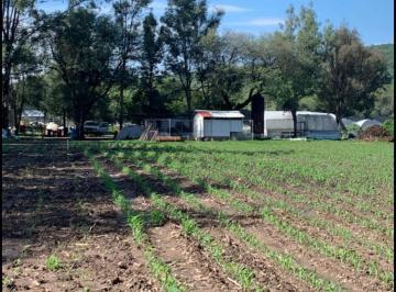 Terreno / Lote · 39304m² · Terreno en Venta Tala Castro Urieles