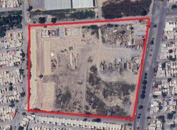 Terreno / Lote · 250000m² · Terreno en Renta o Venta