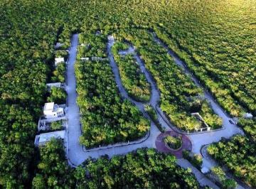 Terreno / Lote , Solidaridad · Venta de Lotes en "Paseos de Parque“